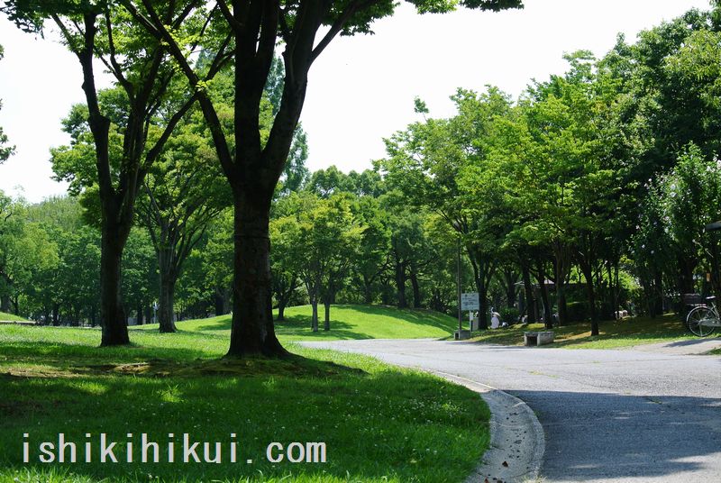 f:id:ken530000:20170719160634j:plain f:id:ken530000:20170719160634j:plain