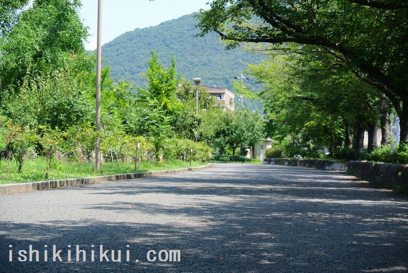 f:id:ken530000:20170719161028j:plain f:id:ken530000:20170719161028j:plain