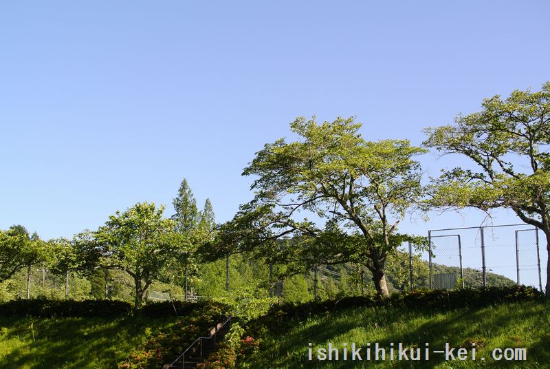 f:id:ken530000:20180520130158j:plain