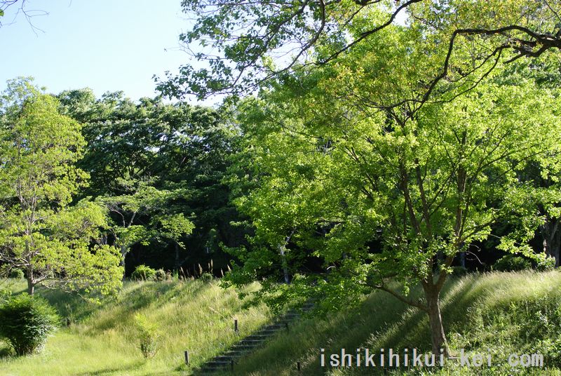 f:id:ken530000:20180520130201j:plain