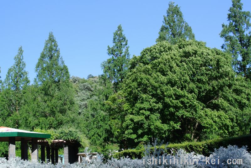 f:id:ken530000:20180520131155j:plain