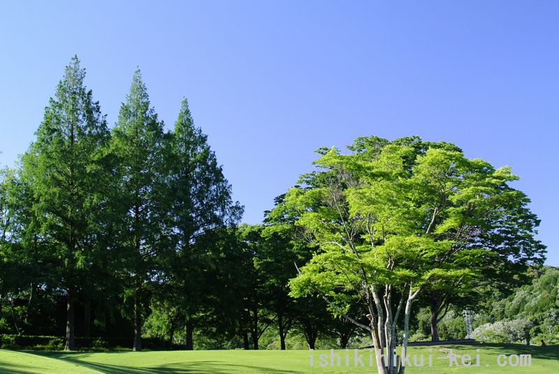 f:id:ken530000:20180520131158j:plain