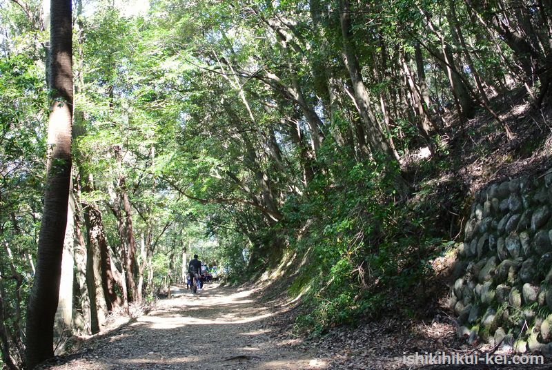 f:id:ken530000:20181102225102j:plain f:id:ken530000:20181102225102j:plain