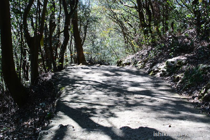 f:id:ken530000:20181102230329j:plain f:id:ken530000:20181102230329j:plain