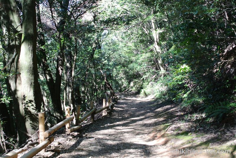 f:id:ken530000:20181102230330j:plain f:id:ken530000:20181102230330j:plain