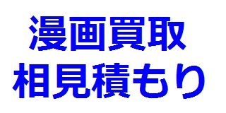 f:id:ken530000:20181208103153j:plain