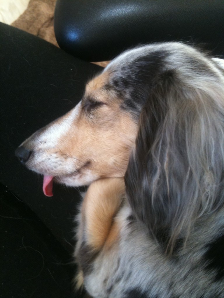 f:id:ken_c_lo:20100104141037j:plain