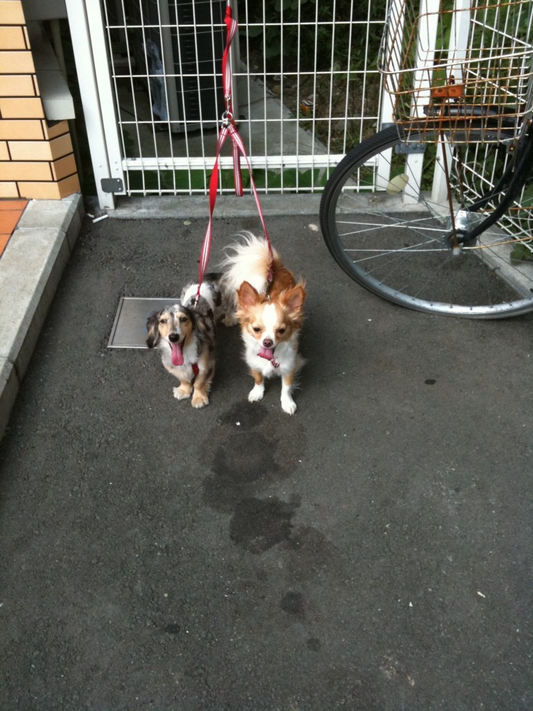 f:id:ken_c_lo:20110702152239j:plain