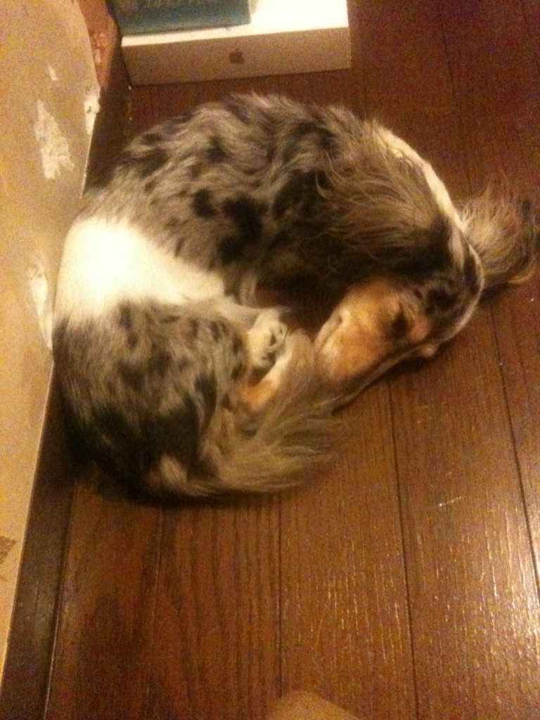 f:id:ken_c_lo:20110806222709j:plain