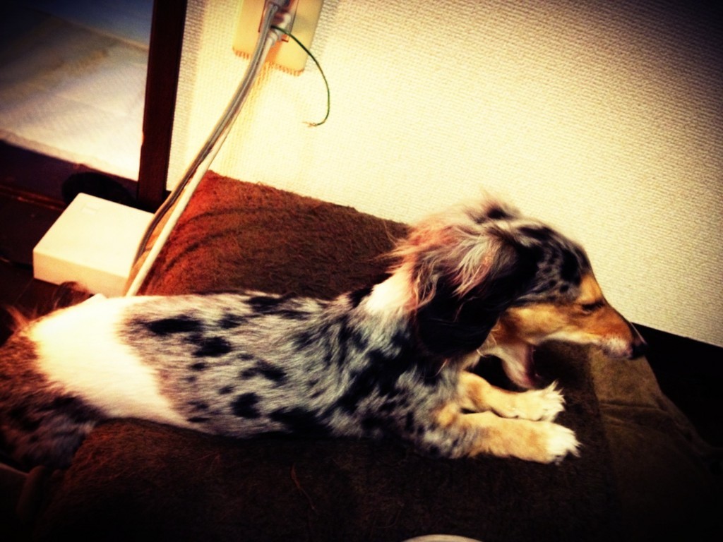 f:id:ken_c_lo:20111221133833j:plain