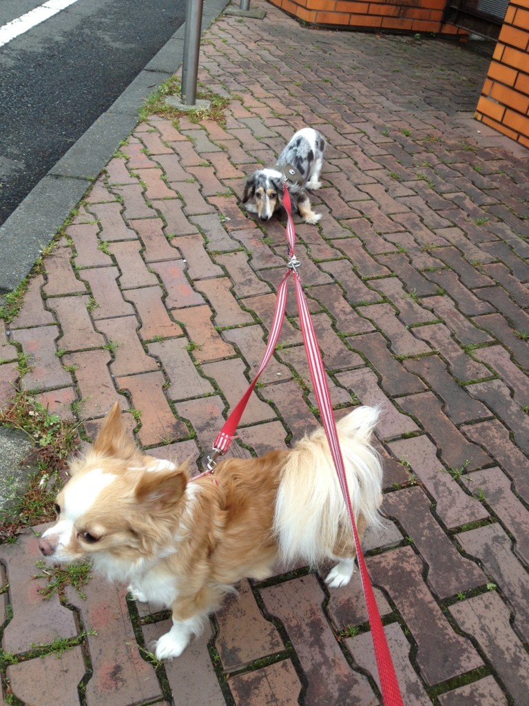 f:id:ken_c_lo:20130421152339j:plain