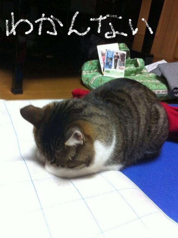f:id:ken_tabise:20121118194321j:image:w360:left f:id:ken_tabise:20121118194321j:image:w360:left