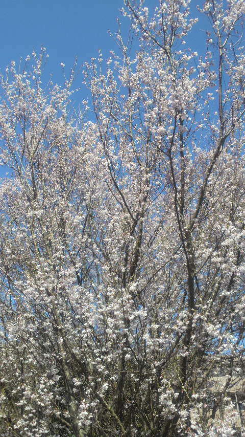 20120404090923