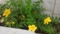 20130615145322