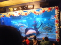 [2013ハイク忘年会][ハイクオフ][水族館]