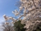 三ツ池公園