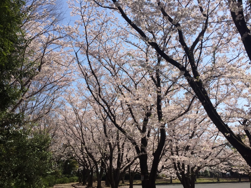 20170414092241
