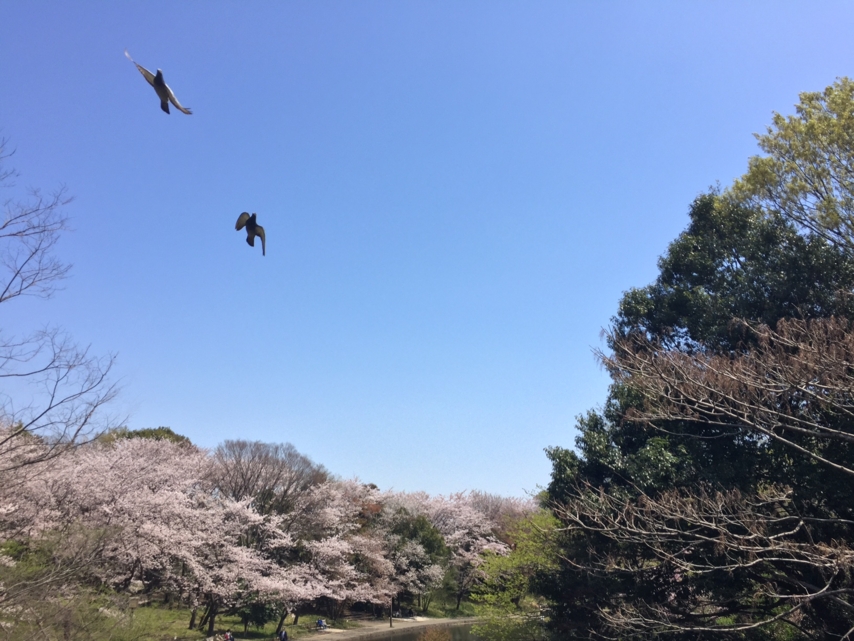 20170414105342