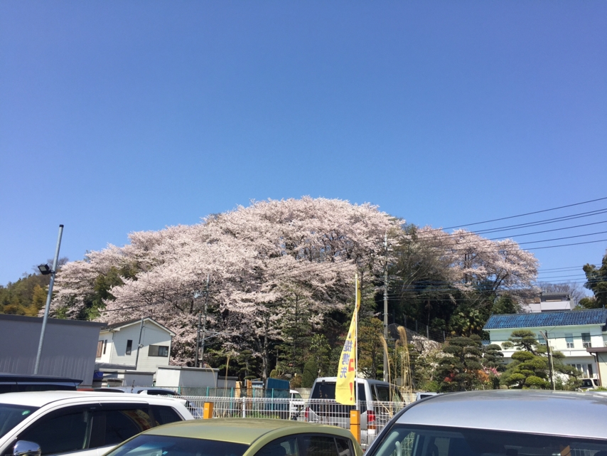 20170414110351