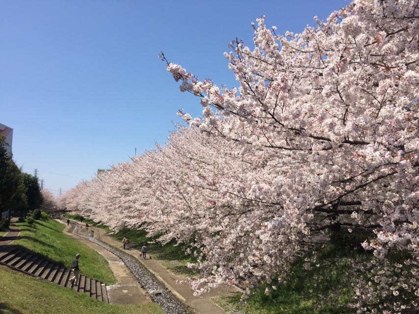 江川せせらぎ緑道