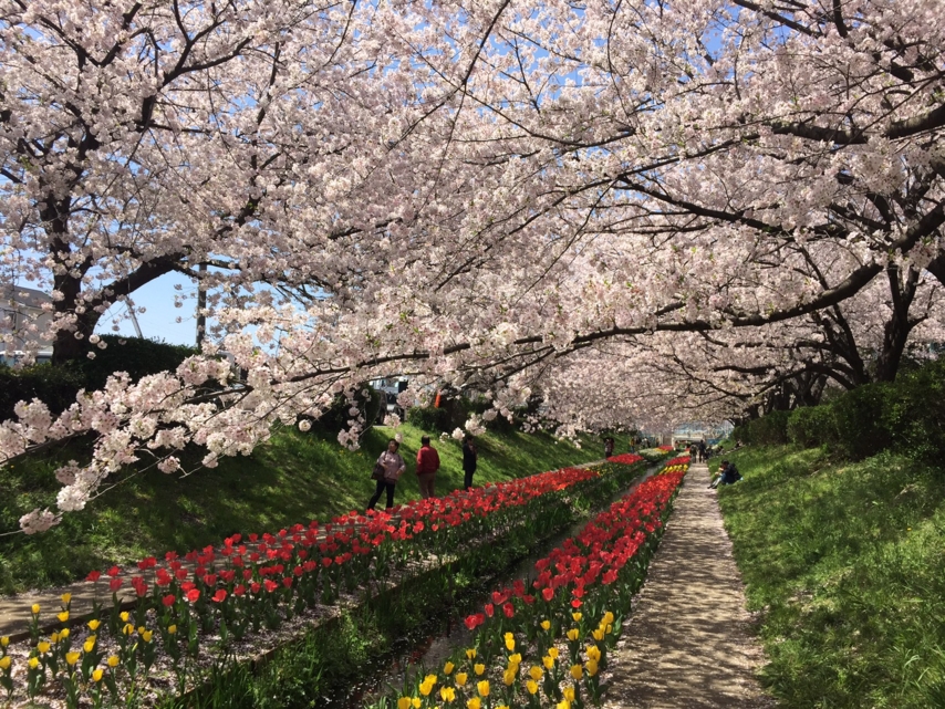 江川せせらぎ緑道