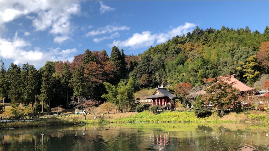 f:id:kenbo4649:20191116225340j:image
