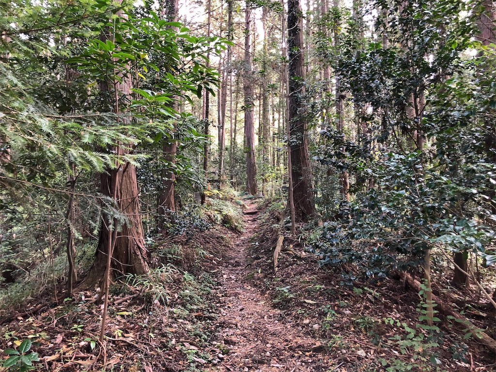 f:id:kenbo4649:20191116225957j:image
