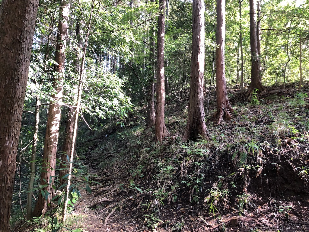 f:id:kenbo4649:20191116230007j:image