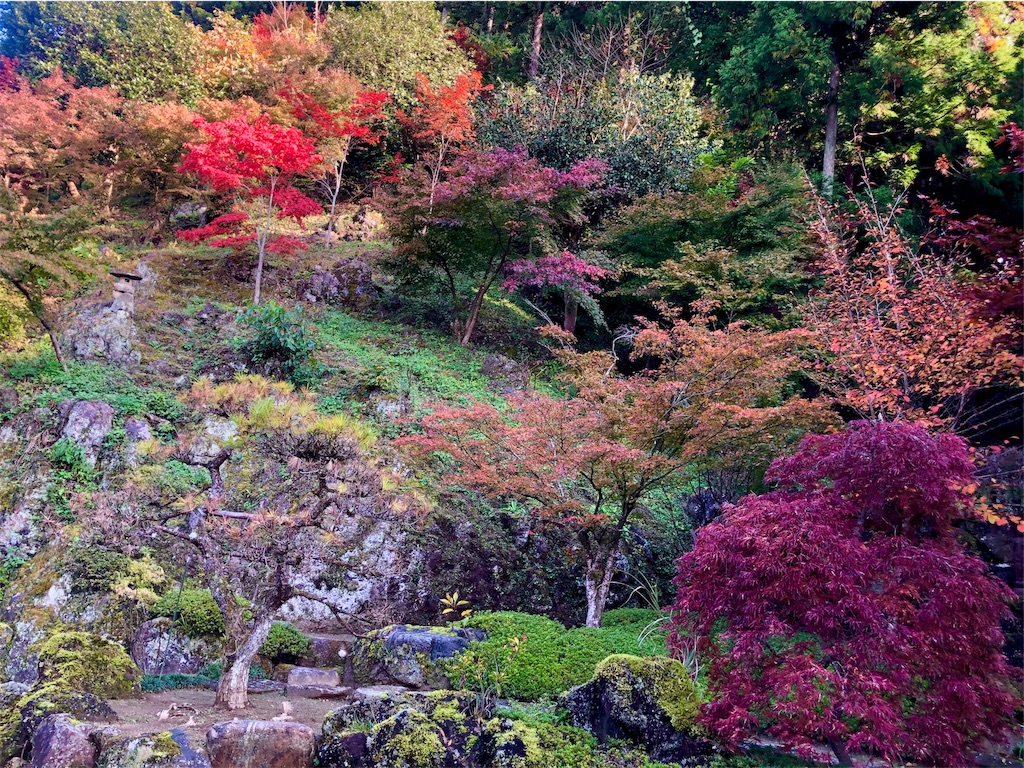 f:id:kenbo4649:20191116230022j:image