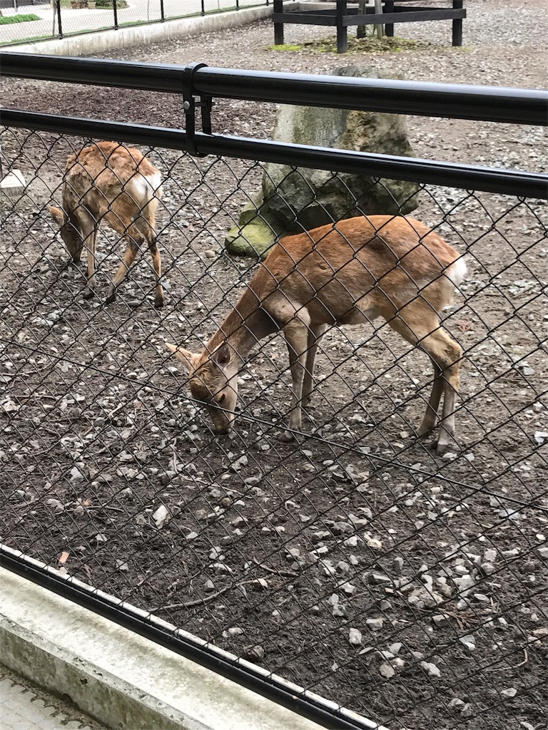 f:id:kenboo7:20170512064741j:image f:id:kenboo7:20170512064741j:image