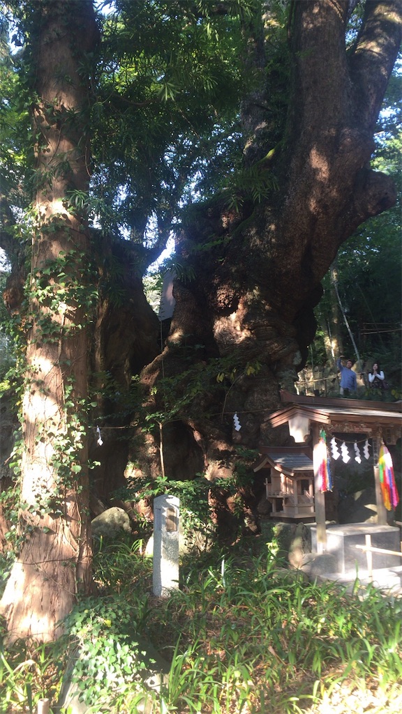 f:id:kenboo7:20170513113211j:image