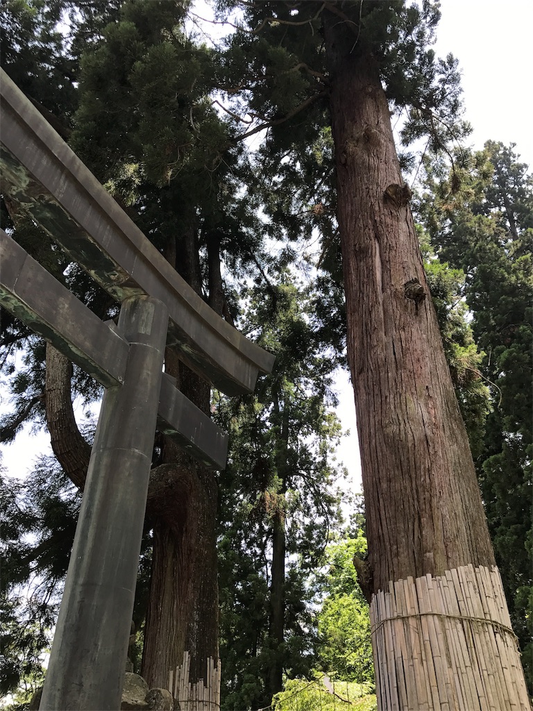 f:id:kenboo7:20170611080238j:image