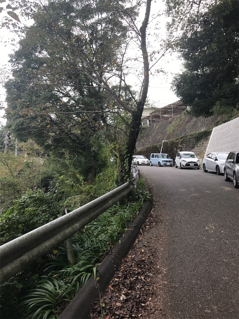 大平山神社御朱印e