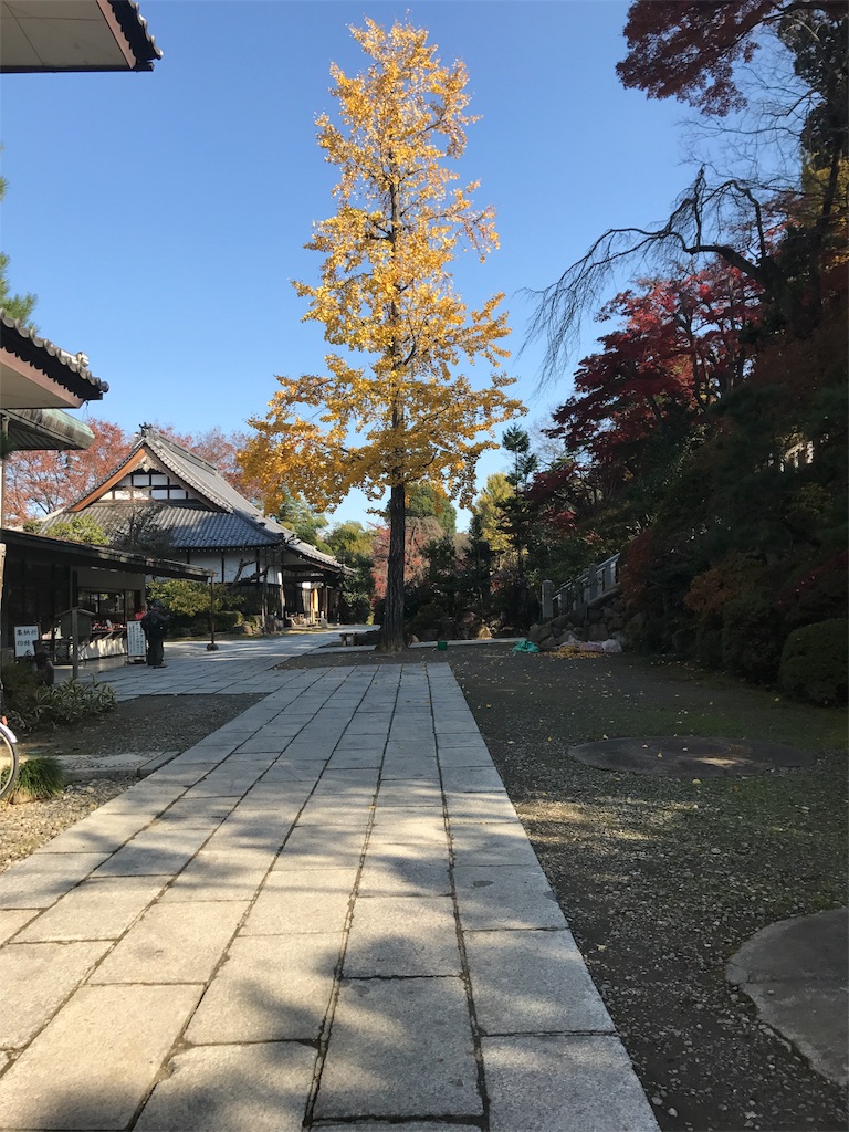 f:id:kenboo7:20171119184945j:image f:id:kenboo7:20171119184945j:image