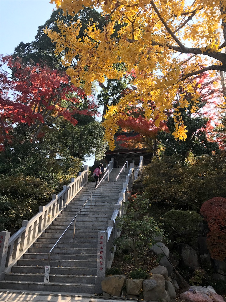 f:id:kenboo7:20171119185358j:image f:id:kenboo7:20171119185358j:image