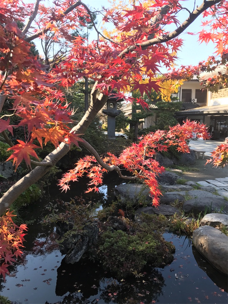 f:id:kenboo7:20171119190039j:image f:id:kenboo7:20171119190039j:image