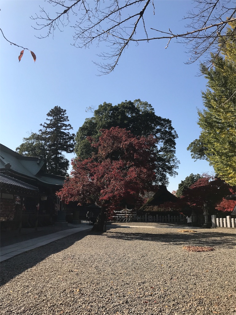 f:id:kenboo7:20171119190403j:image f:id:kenboo7:20171119190403j:image