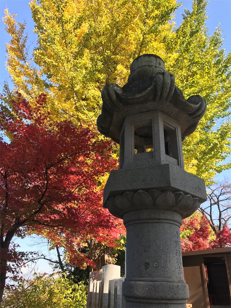 f:id:kenboo7:20171119204320j:image f:id:kenboo7:20171119204320j:image