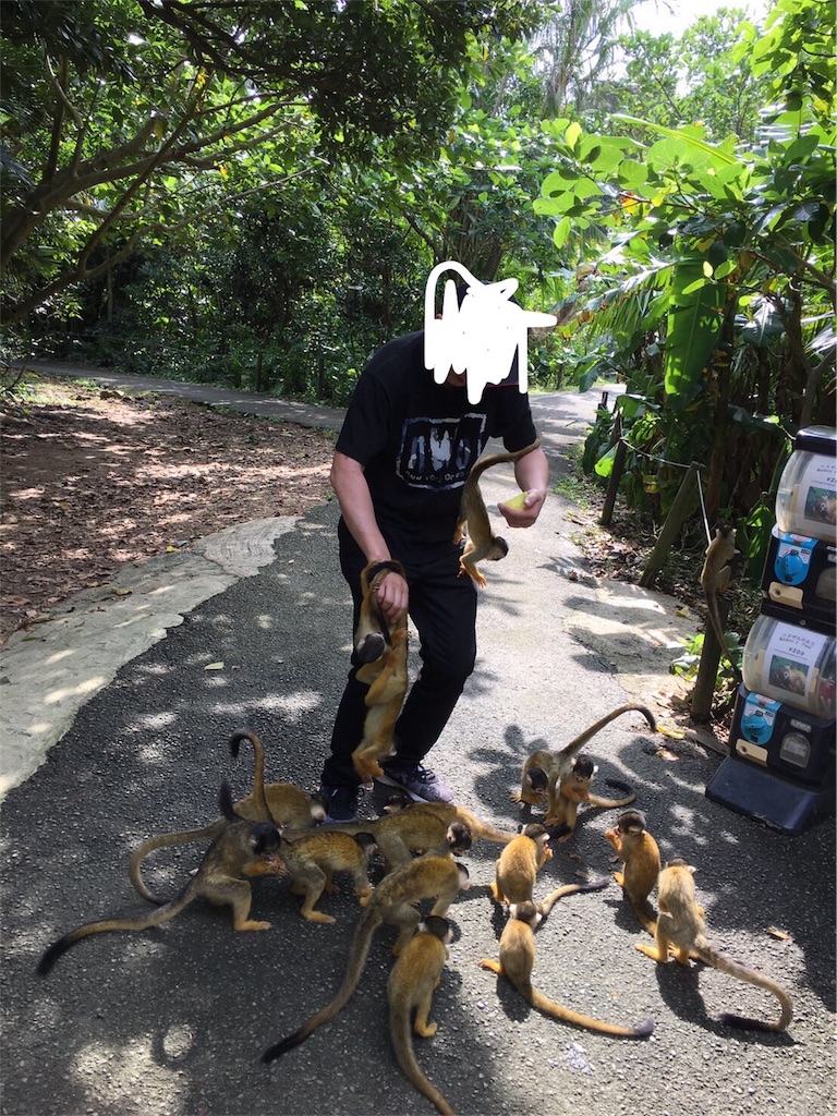 f:id:kenboo7:20171123064000j:image f:id:kenboo7:20171123064000j:image