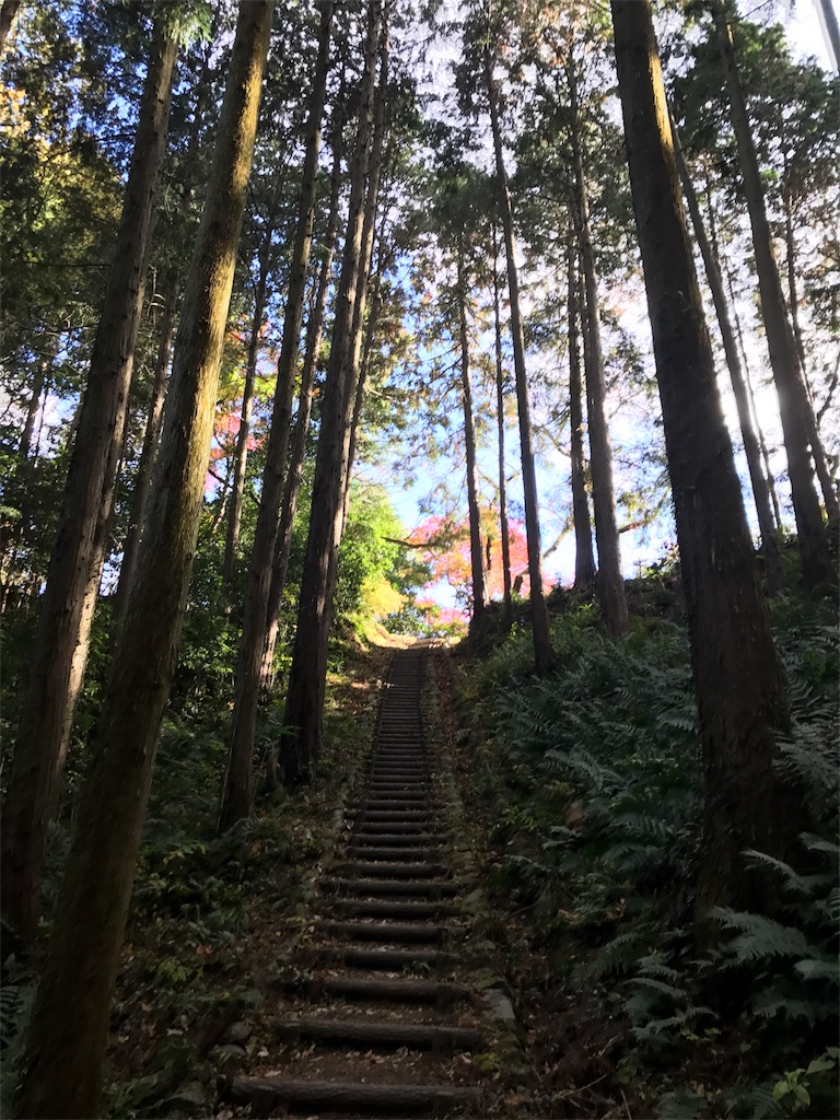 f:id:kenboo7:20171130054500j:image f:id:kenboo7:20171130054500j:image