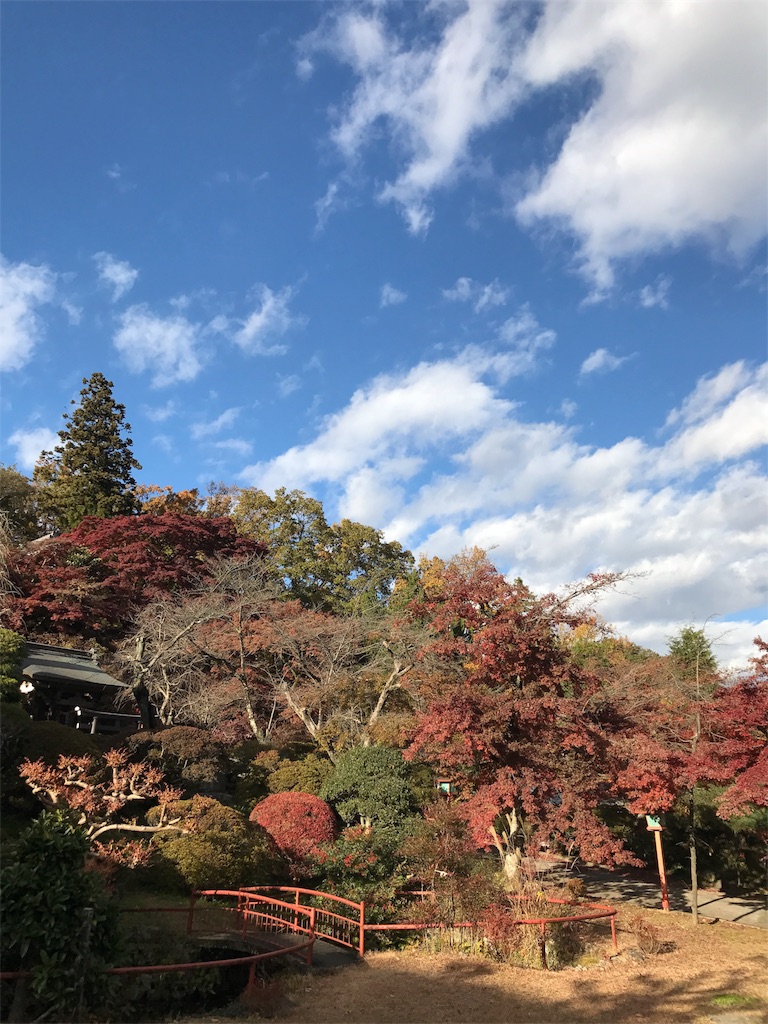 f:id:kenboo7:20171202163210j:image f:id:kenboo7:20171202163210j:image