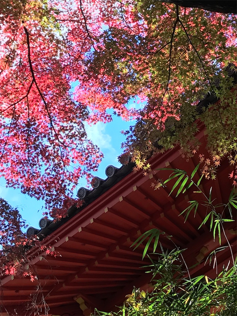 f:id:kenboo7:20171202183817j:image f:id:kenboo7:20171202183817j:image