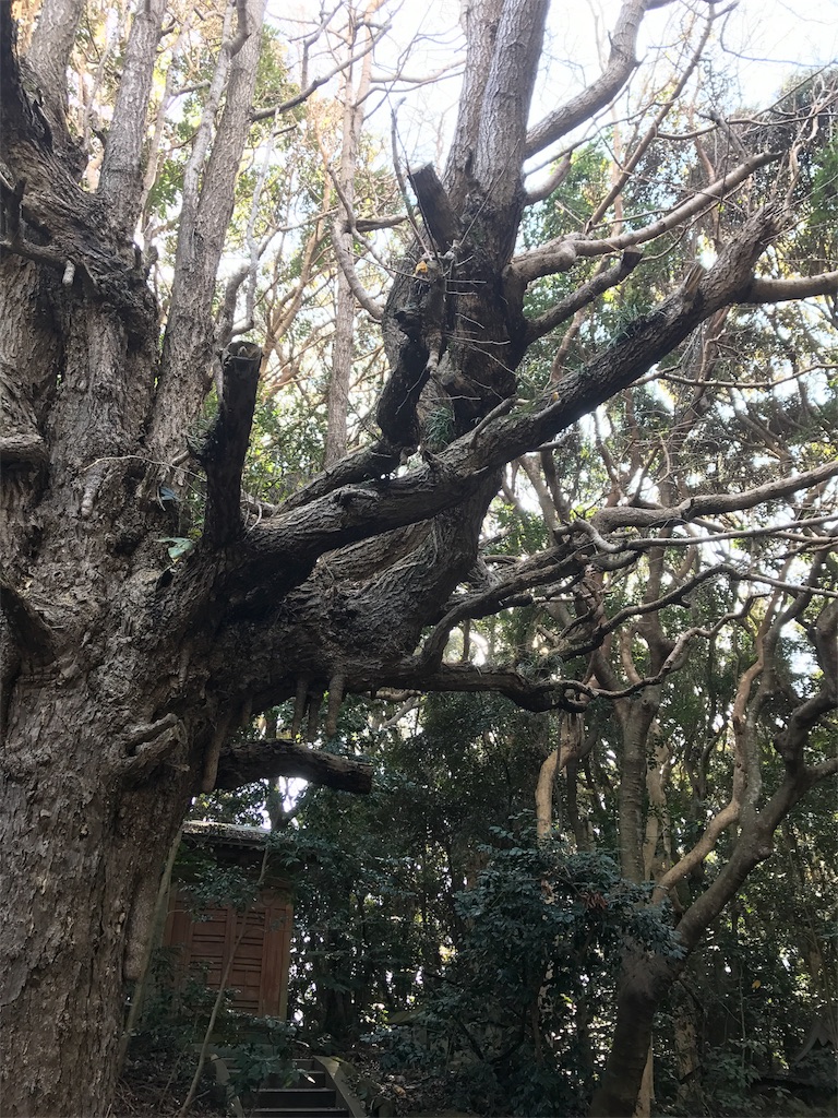 f:id:kenboo7:20180106222107j:image