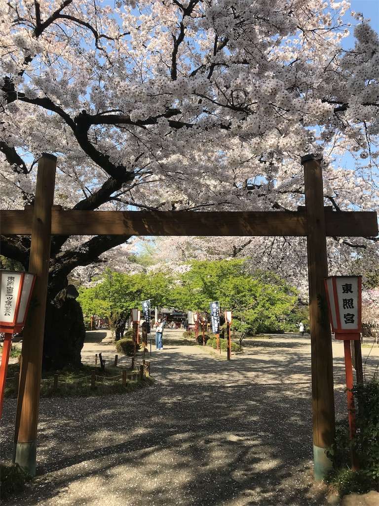 f:id:kenboo7:20180331231731j:image f:id:kenboo7:20180331231731j:image