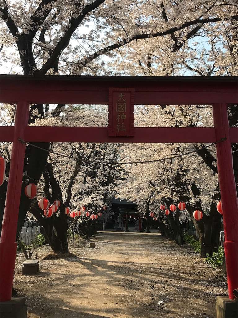 f:id:kenboo7:20180401084428j:image f:id:kenboo7:20180401084428j:image