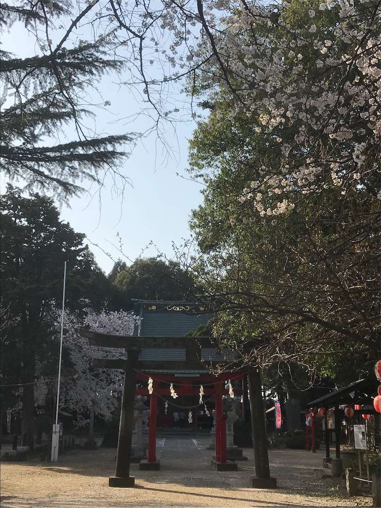 f:id:kenboo7:20180401084851j:image f:id:kenboo7:20180401084851j:image