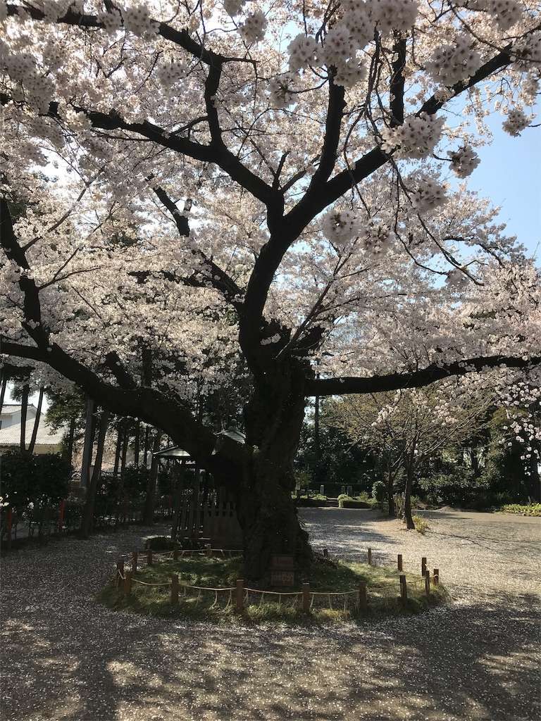 f:id:kenboo7:20180401085713j:image f:id:kenboo7:20180401085713j:image