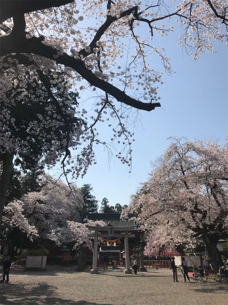 f:id:kenboo7:20180401090214j:image f:id:kenboo7:20180401090214j:image