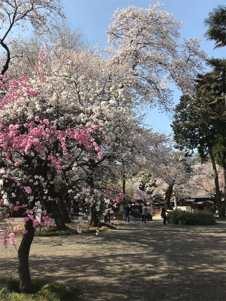 f:id:kenboo7:20180401090555j:image f:id:kenboo7:20180401090555j:image