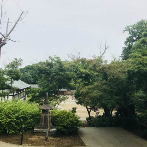 f:id:kenboo7:20180601160305j:plain f:id:kenboo7:20180601160305j:plain